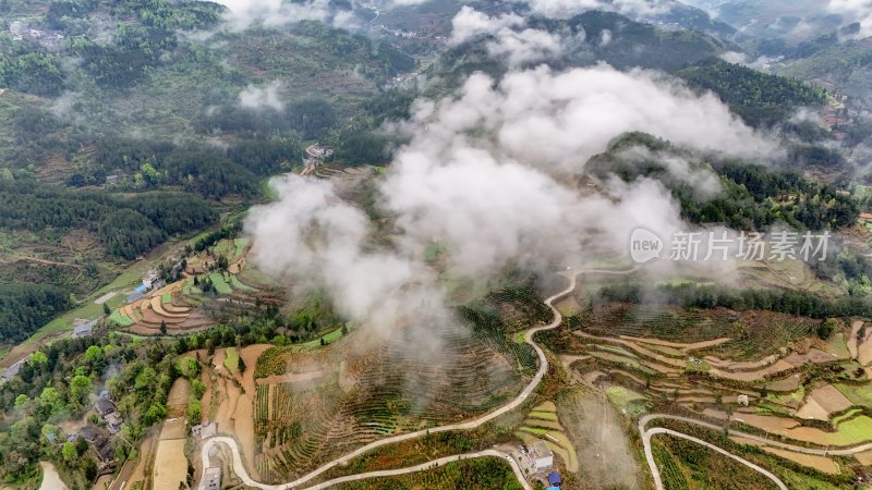 重庆酉阳：青山雾漫别样美