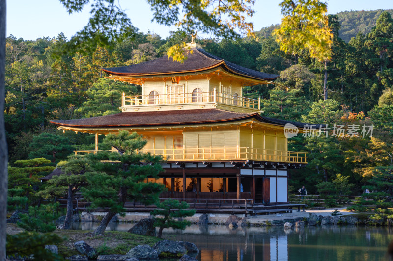 日本京都金阁寺金色舍利殿近景特写