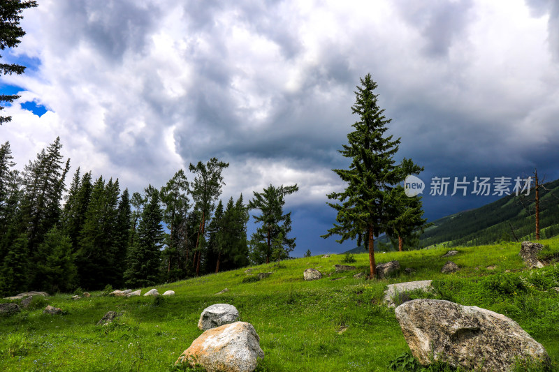 夏季阿勒泰喀纳斯景区