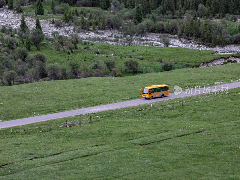 草原中的路上一辆驶过来的汽车的自然风景
