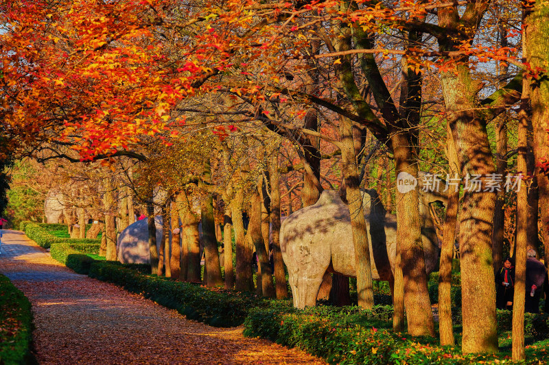 南京钟山石像路