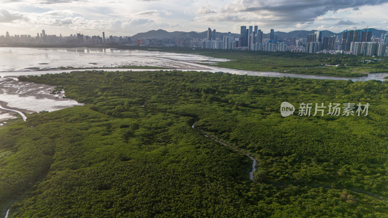 香港米埔自然护理区