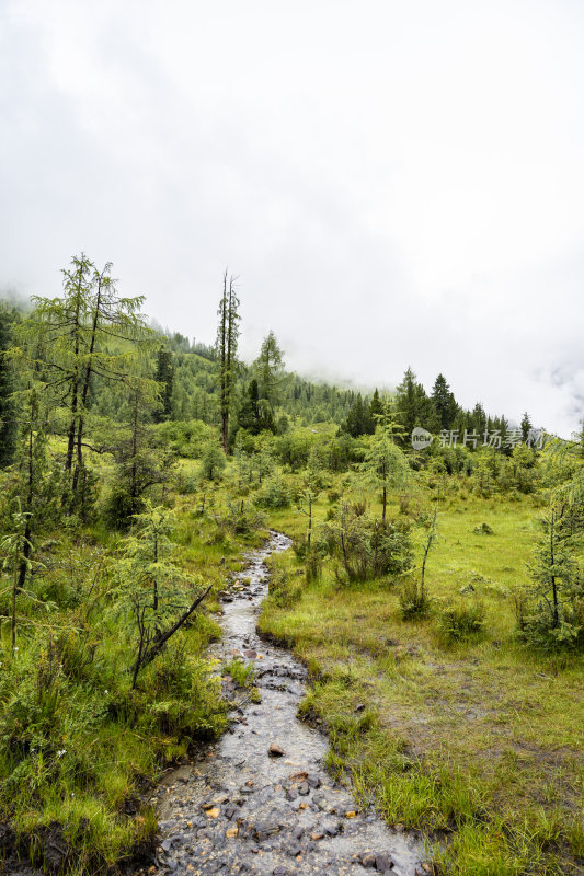 四川四姑娘山双桥沟自然风景