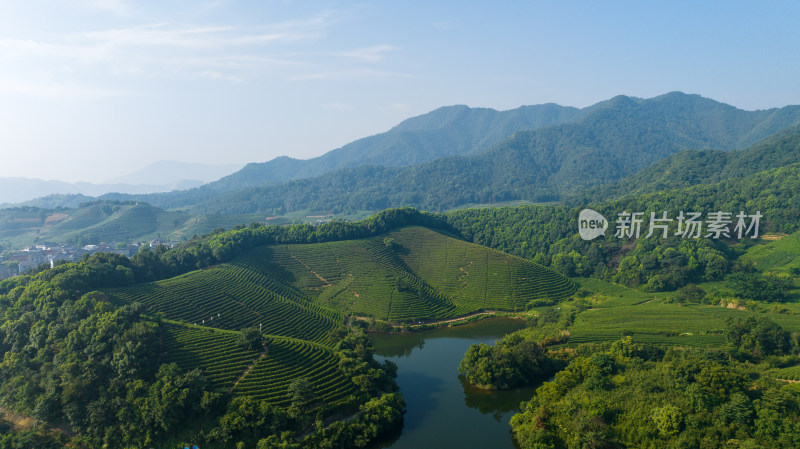 航拍杭州龙坞茶园 茶山 茶田