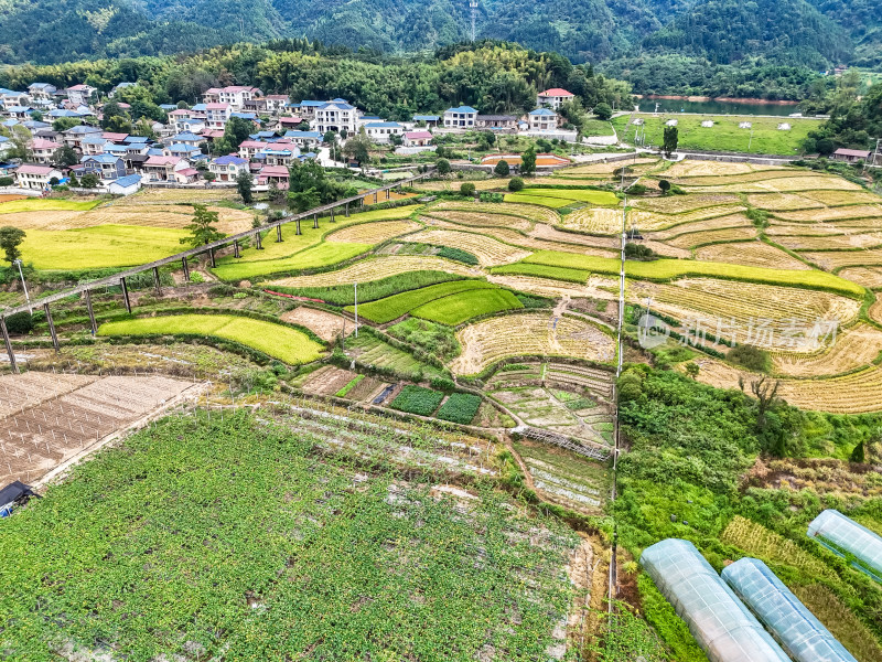 秋收农田航拍图