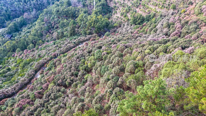 湖南怀化中坡山国家森林公园航拍