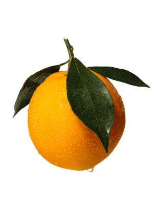 一个新鲜水果赣南脐橙的白底图