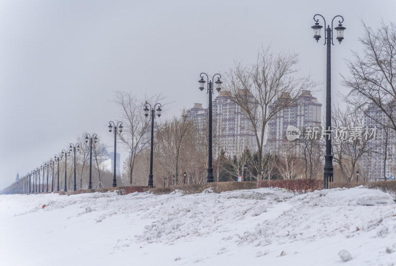 哈尔滨冬天街道雪景