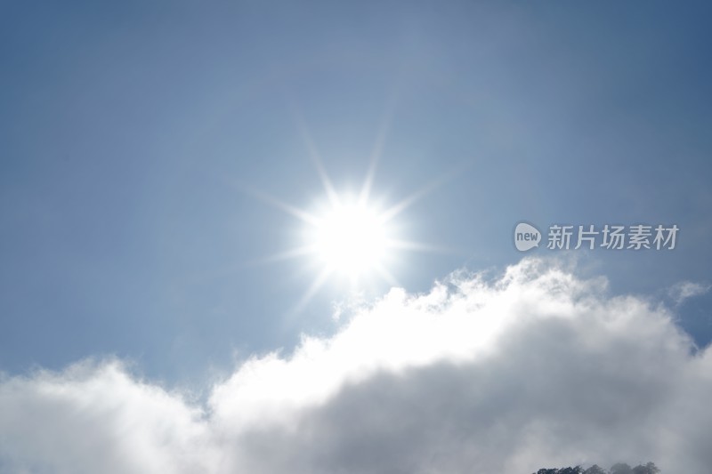 秋季阿坝州老鸦山五彩森林天空中的太阳光晕