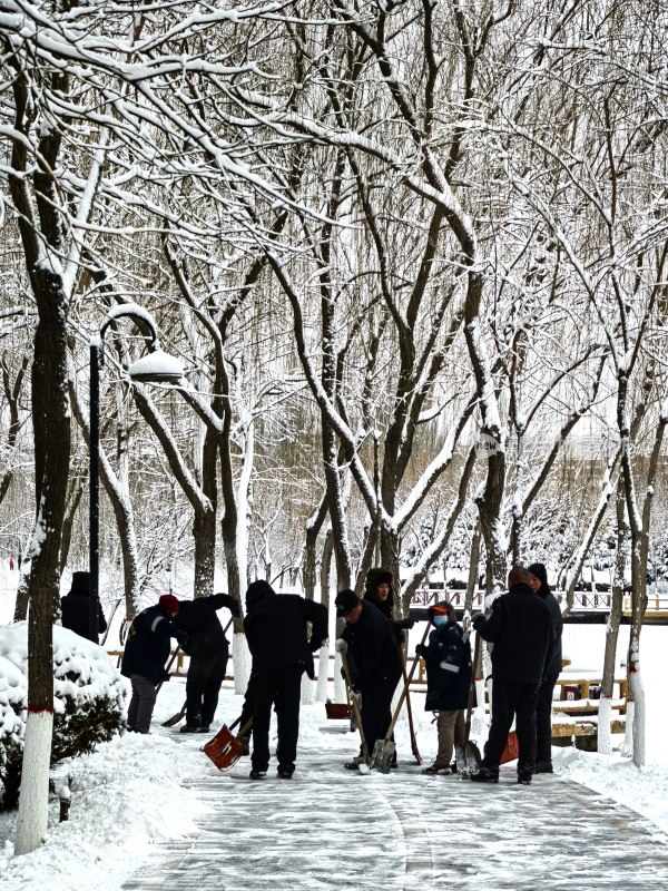 雪中公园一群人拿着工具在清扫积雪