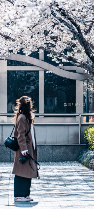 女子在樱花树下持相机漫步