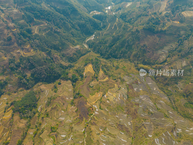 航拍红河州元阳梯田自然风光