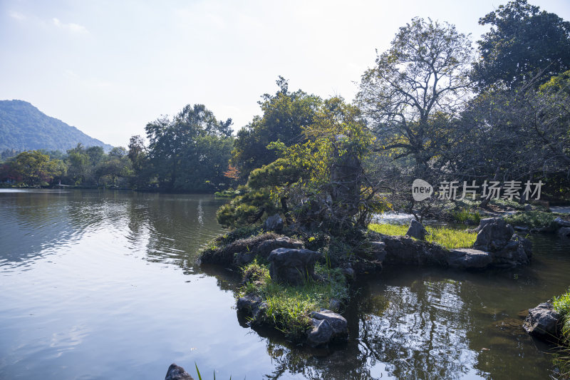 杭州西湖花港观鱼风景