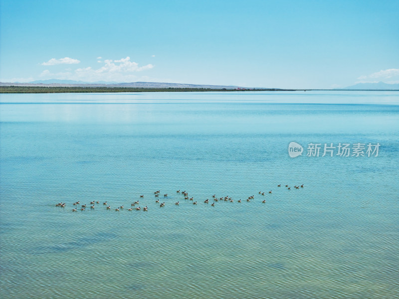 甘肃可鲁克湖的风光美景