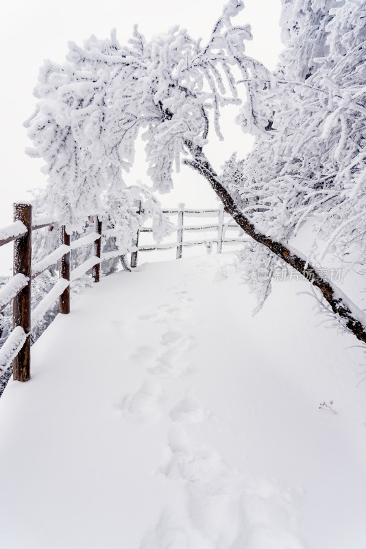 寒冷冬季景区雪后栈道