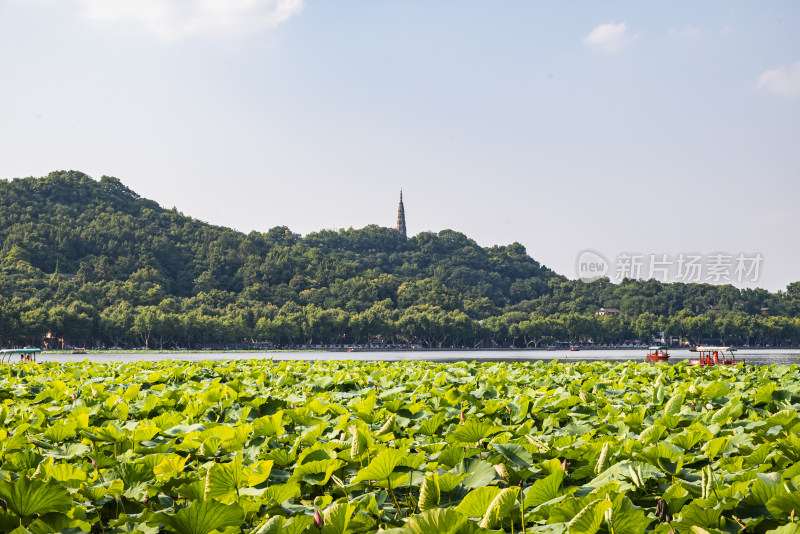 杭州西湖