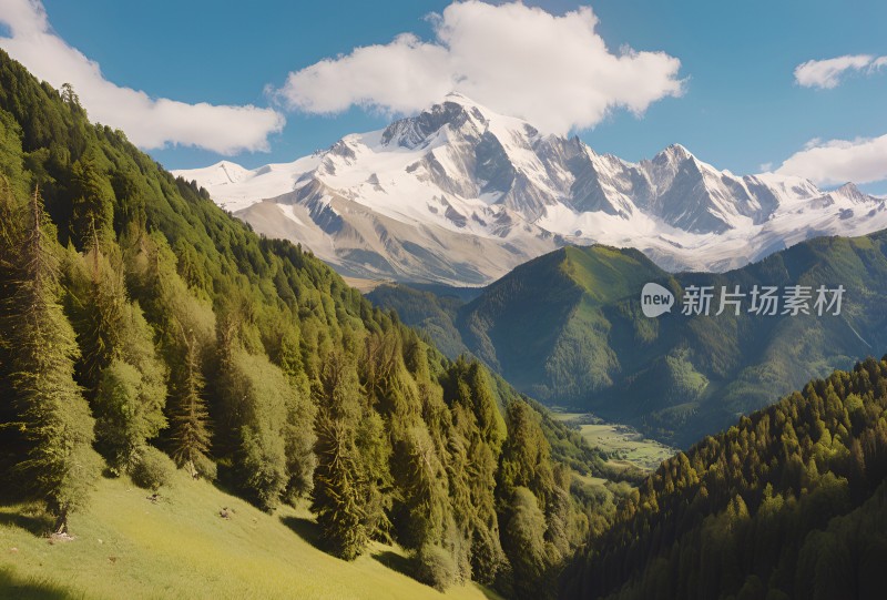 雪山高原草原森林风景