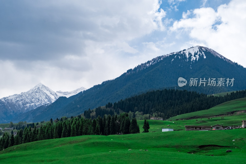 新疆伊犁琼库什台雪山森林草原风光