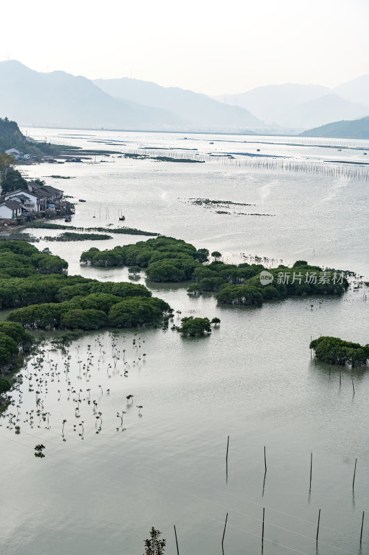 福建宁德霞浦县城红树林湿地涂滩海边景观