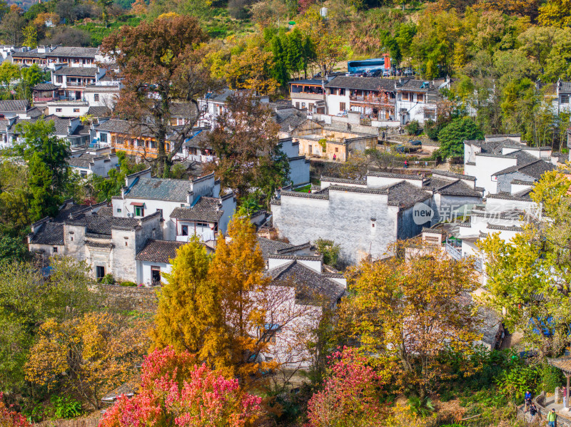 皖南秋色塔川国家森林公园