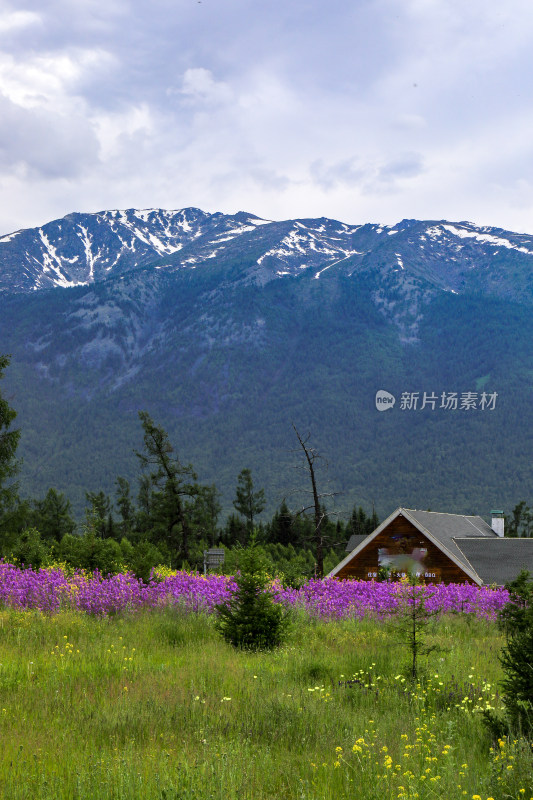 喀纳斯森林雪山