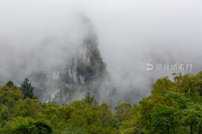 秋天树林云雾山峰