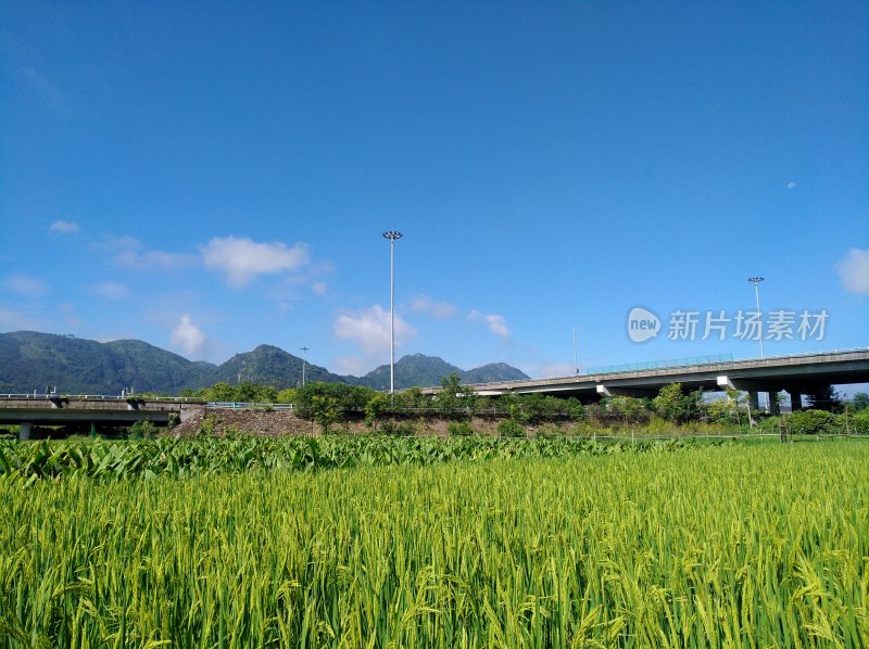 田野旁高架桥与远山风景