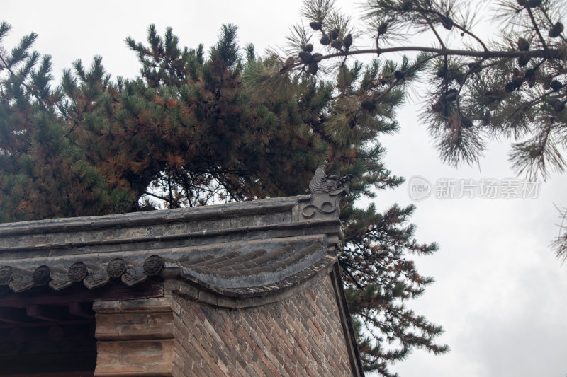 山西忻州南禅寺屋顶装饰