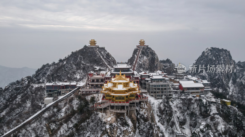 河南老君山飞雪中的千年古树冬季航拍