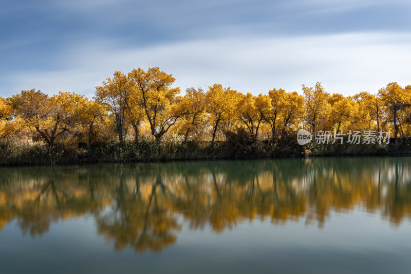 新疆南疆喀什巴楚红海胡杨林金秋尉头洲美景