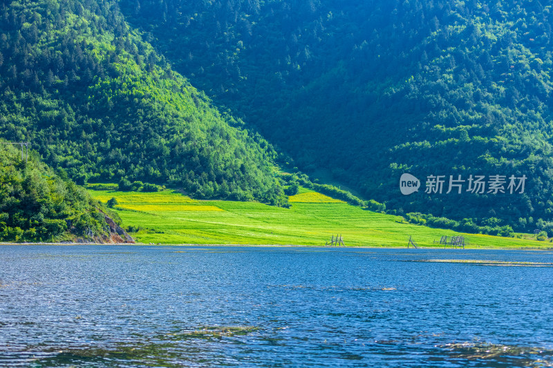 香格里拉纳帕海景区