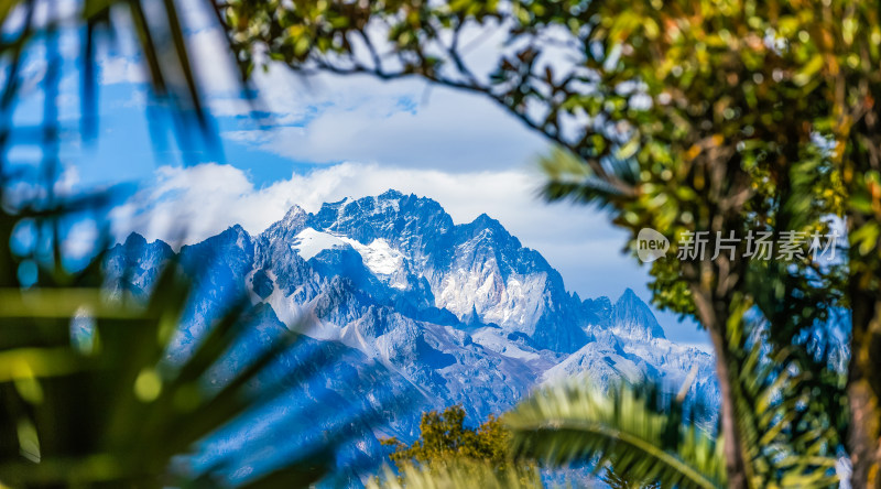 丽江古城黑龙潭景