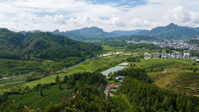 航拍武夷山绿色农田与茶园