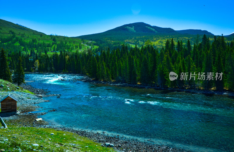 新疆阿勒泰喀纳斯河流森林自然风光