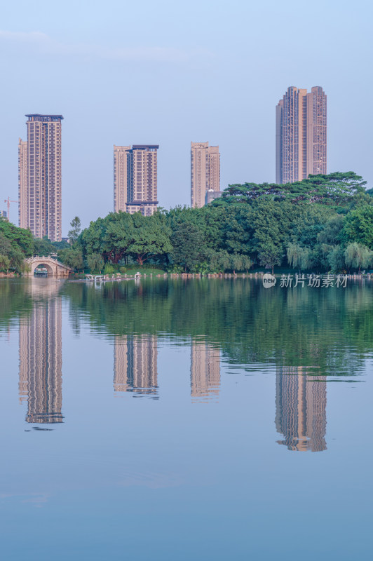 佛山千灯湖公园湖泊树林与城市高楼建筑