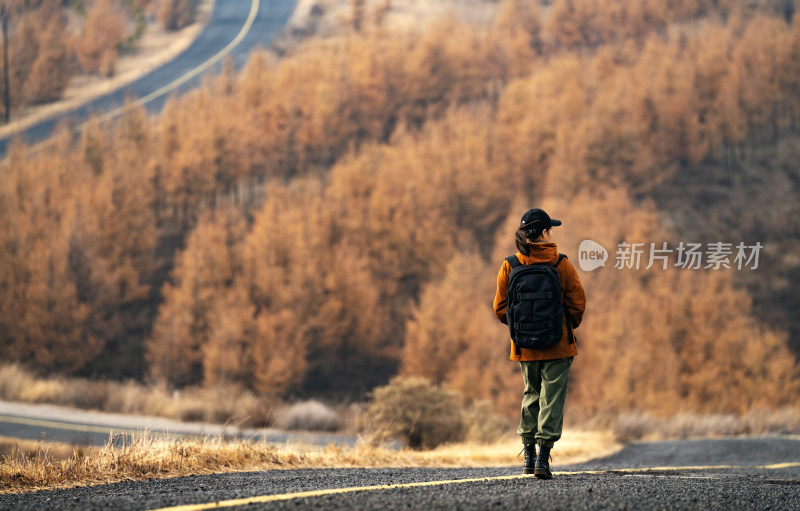 年轻女子户外徒步旅行的背影