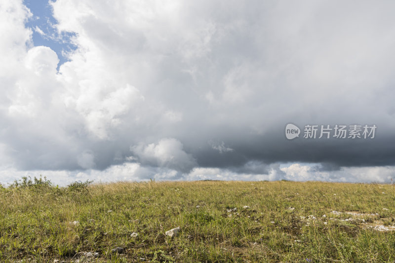 草地蓝天白云自然风景图