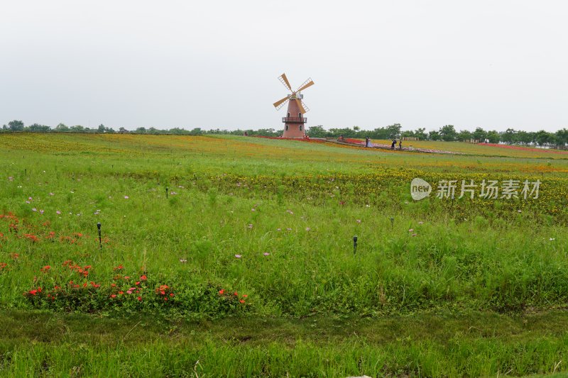 花草 微距摄影 城市风光