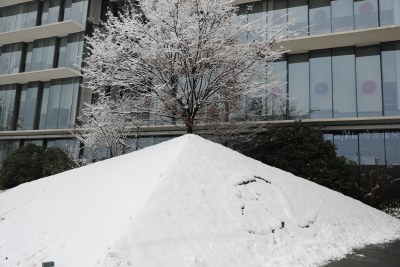 阿里巴巴西溪园区雪景