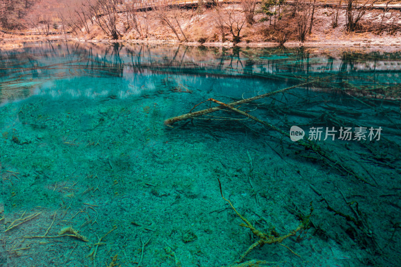 川西九寨沟冬季雪山碧蓝海子唯美