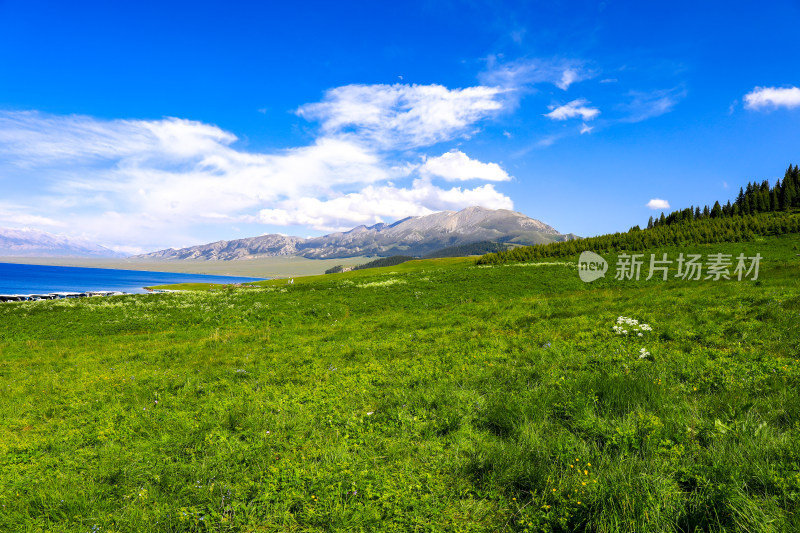 山川湖泊雪山草原野花