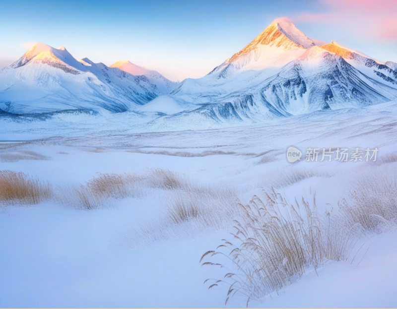 高山雪地