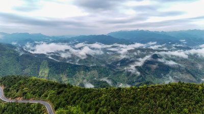 重庆酉阳：雾漫缭绕美青山