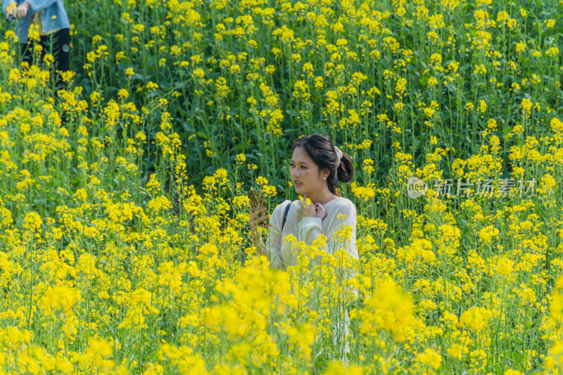 福州花海公园市民在油菜花田里拍照