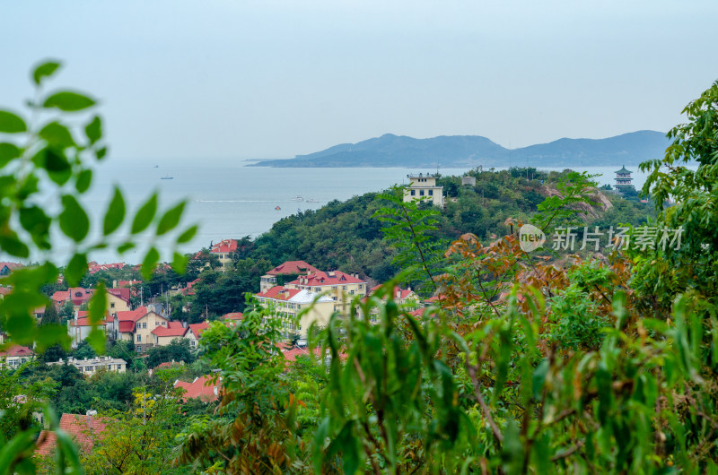 青岛山远眺青岛城市风光