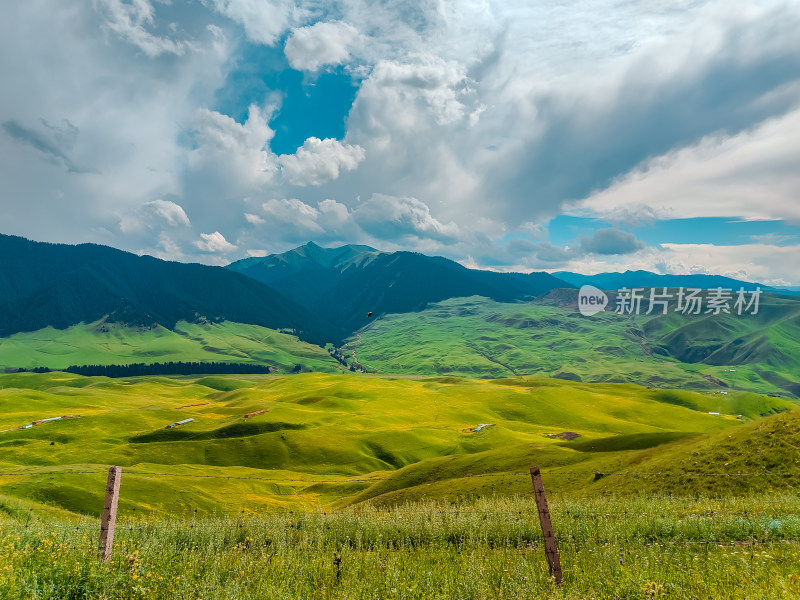 新疆那拉提草原森林山村落