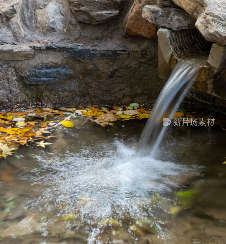 石间流水延时与落叶景观