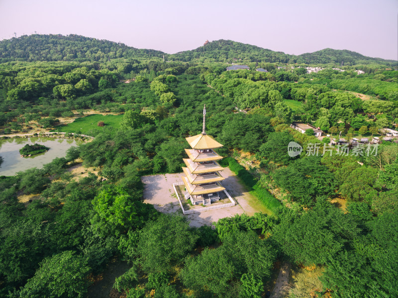 航拍夏季武汉东湖樱园五重塔