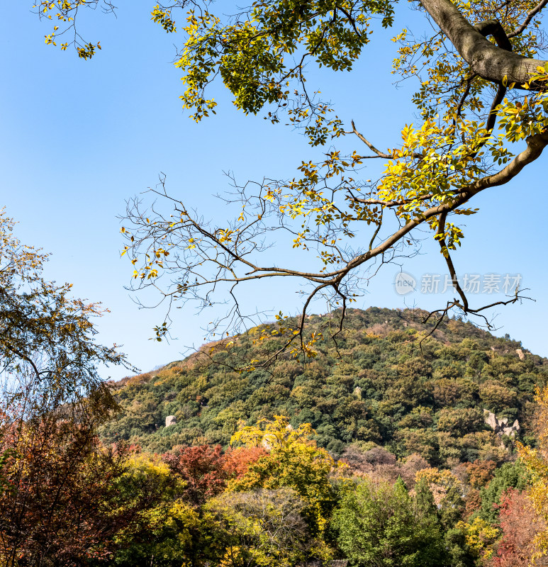 苏州天平山秋色