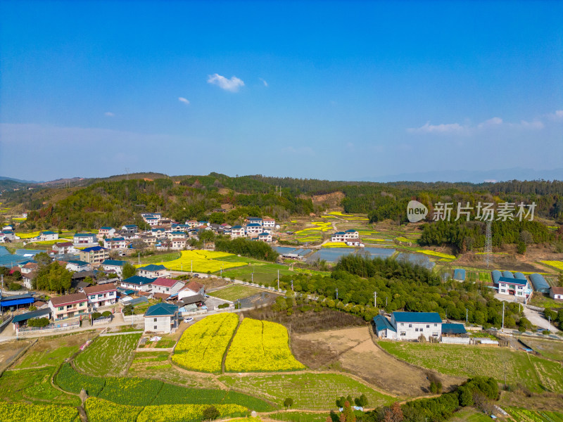 丘陵山川农田油菜花美丽乡村航拍摄影图